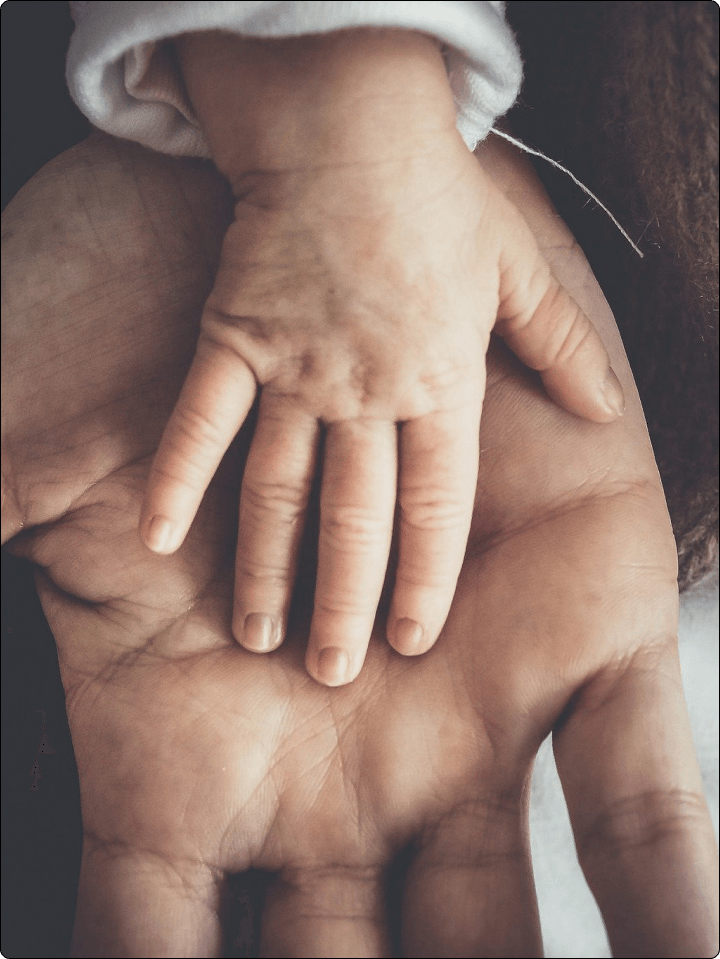 Rectangle 824 (2) (1)